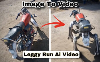 Images to Videos